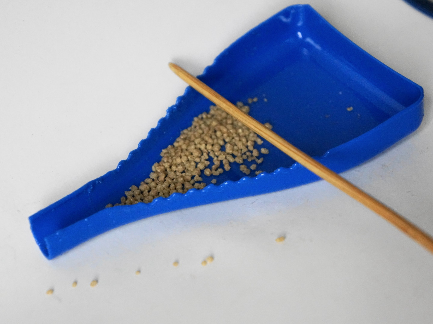 Funnel Tray