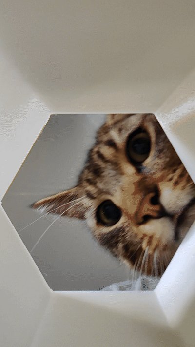 Phone Cat Toy - photo 3