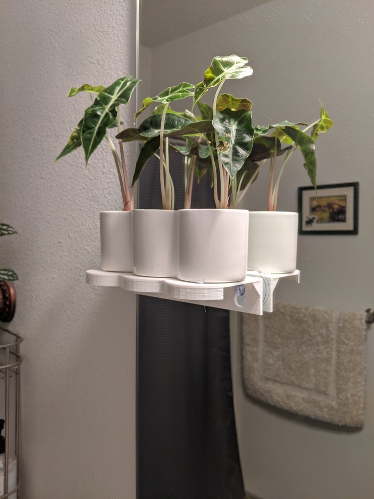 Suction Cup Planter Shelf