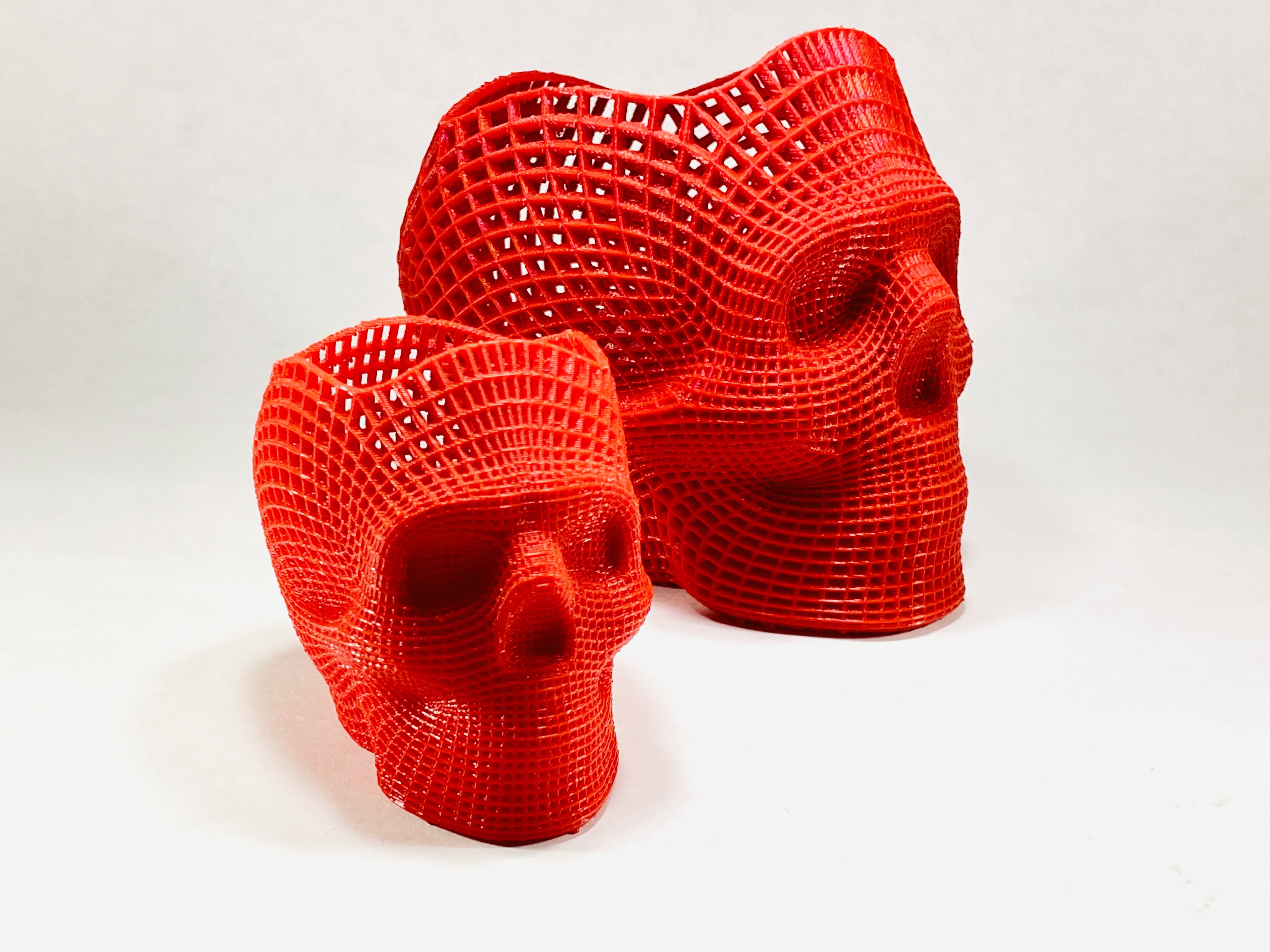 Skull Vase (Remeshed) - photo 4