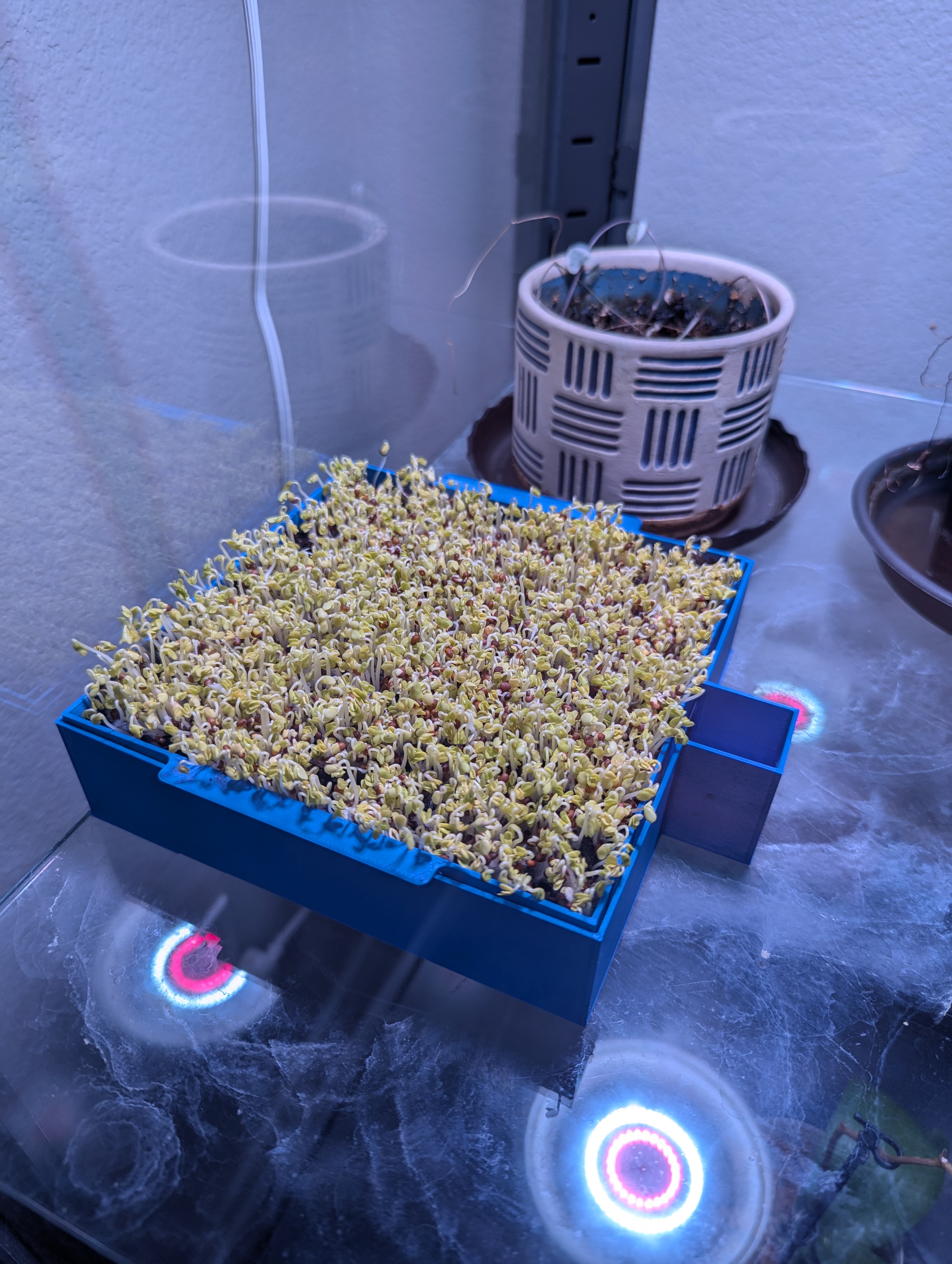 Printable Microgreen Tray