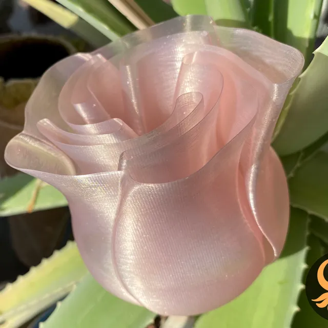 Spiral Vase Rose