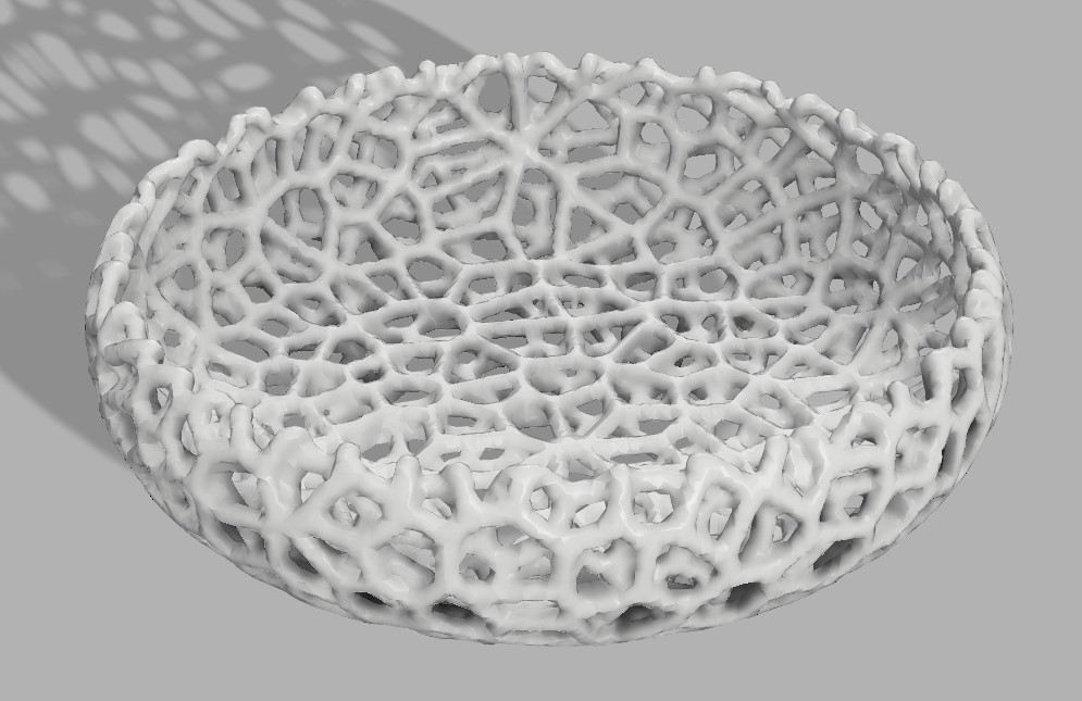 Voronoi Soap Dish