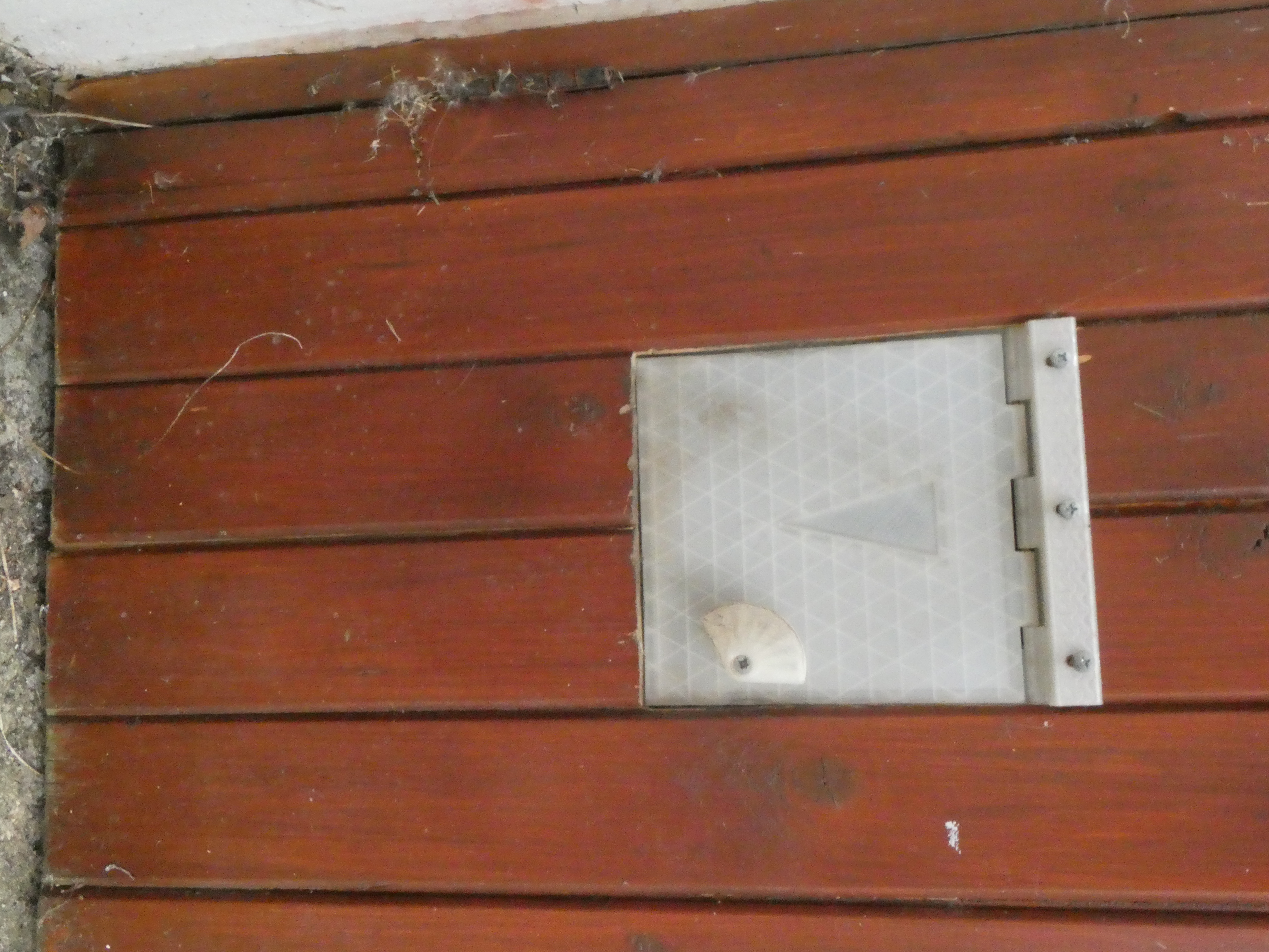 Cat Flap for Gate or Wooden Door