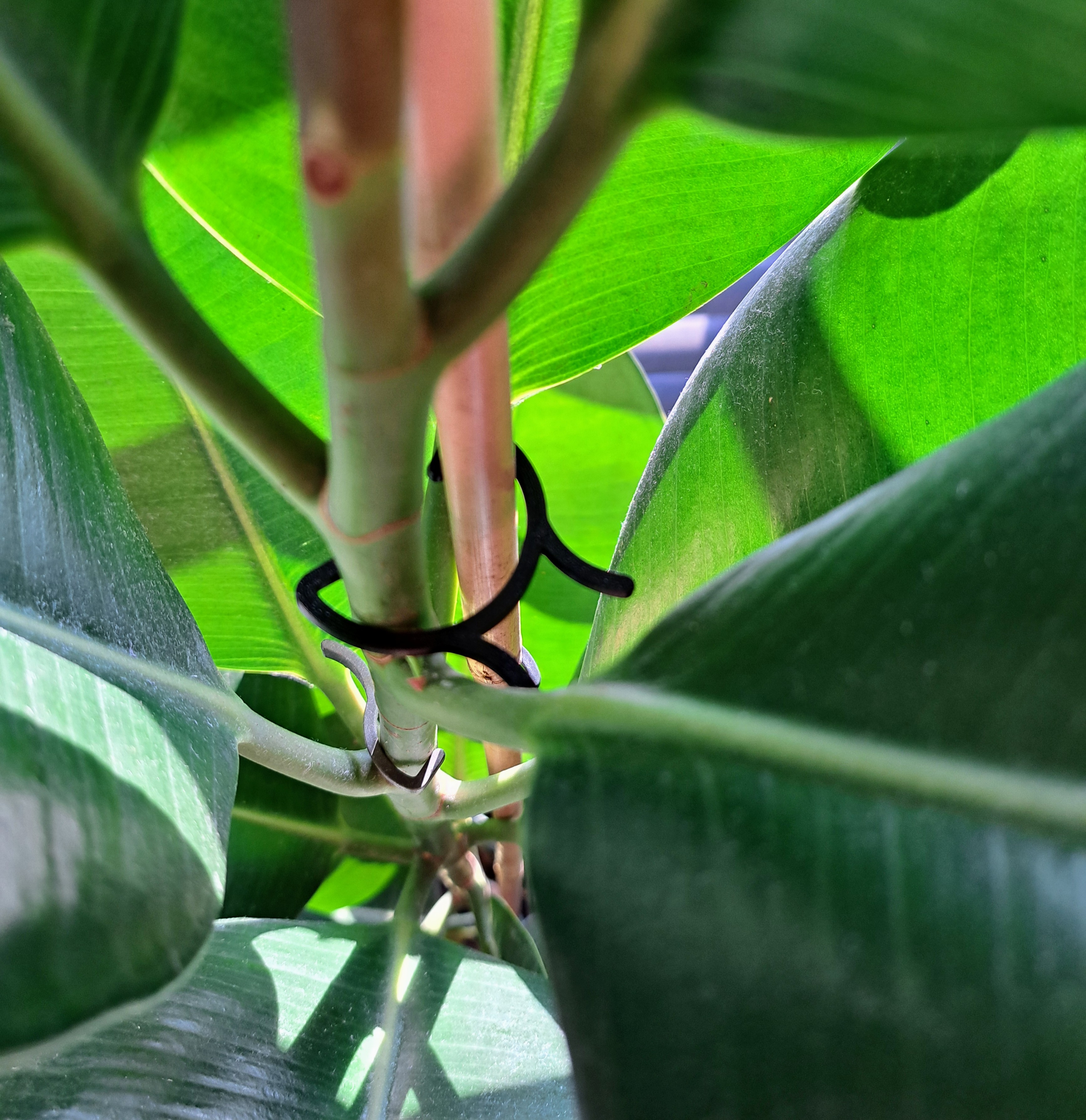 Plant Clip - photo 2