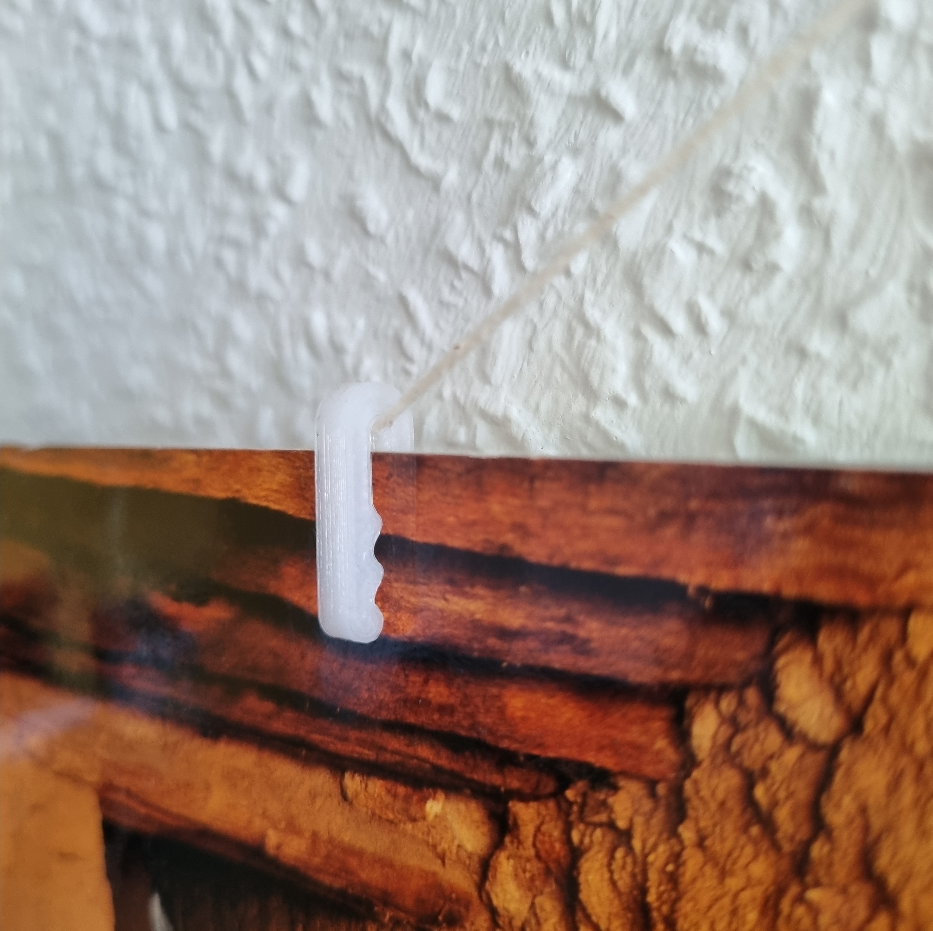 Photo / Postcard Clip - photo 2