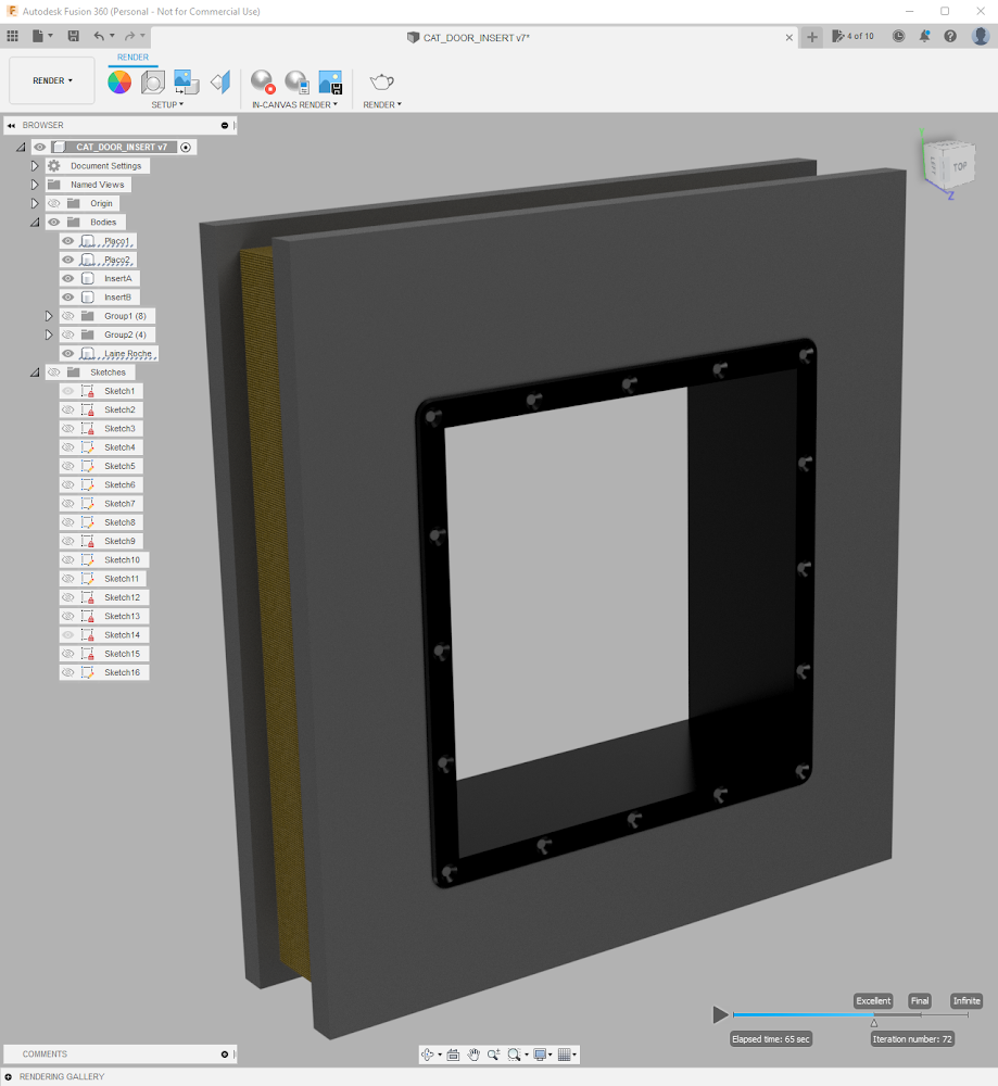 Cat door wall insert