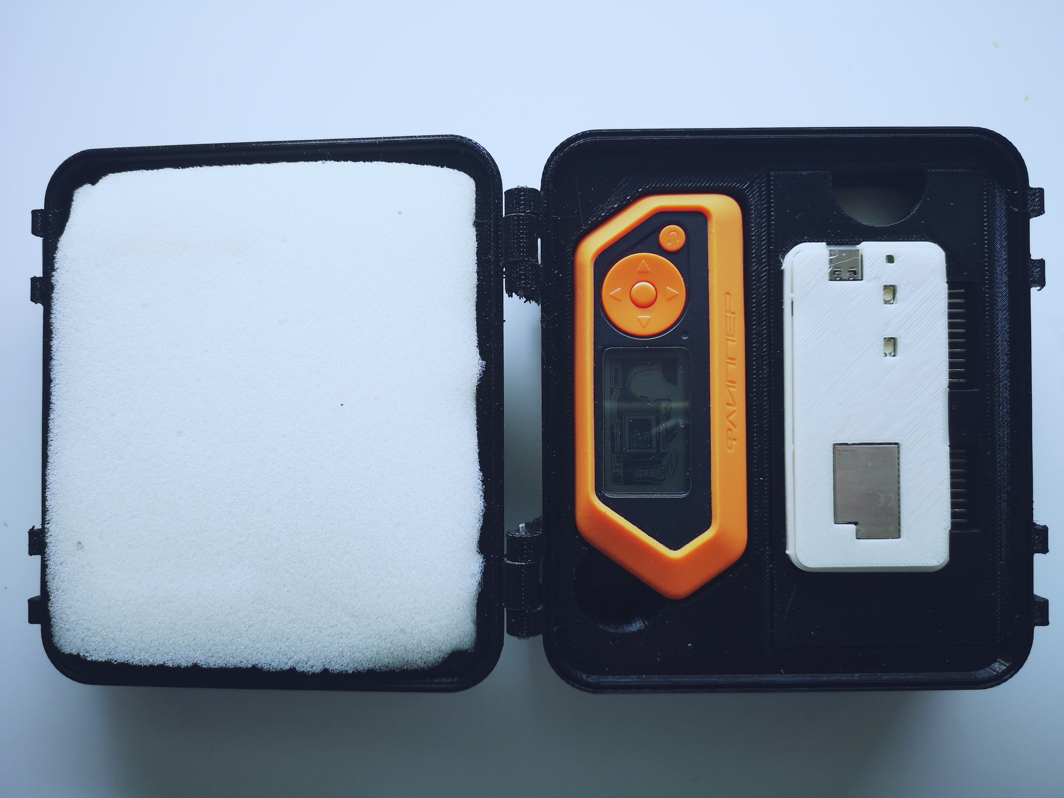Flipper Zero and Devboard storage case - photo 3
