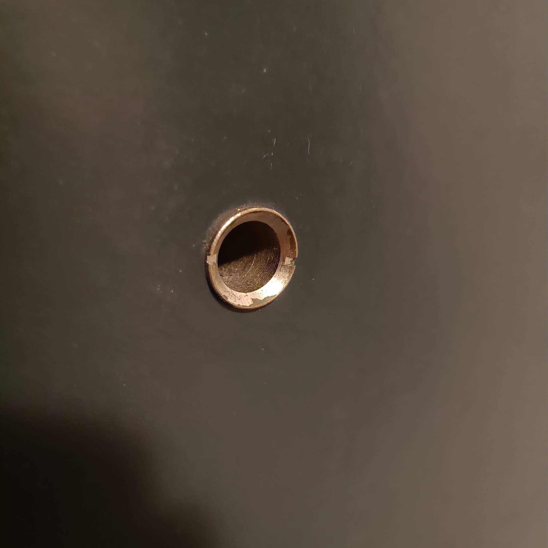 door viewer cover - photo 3