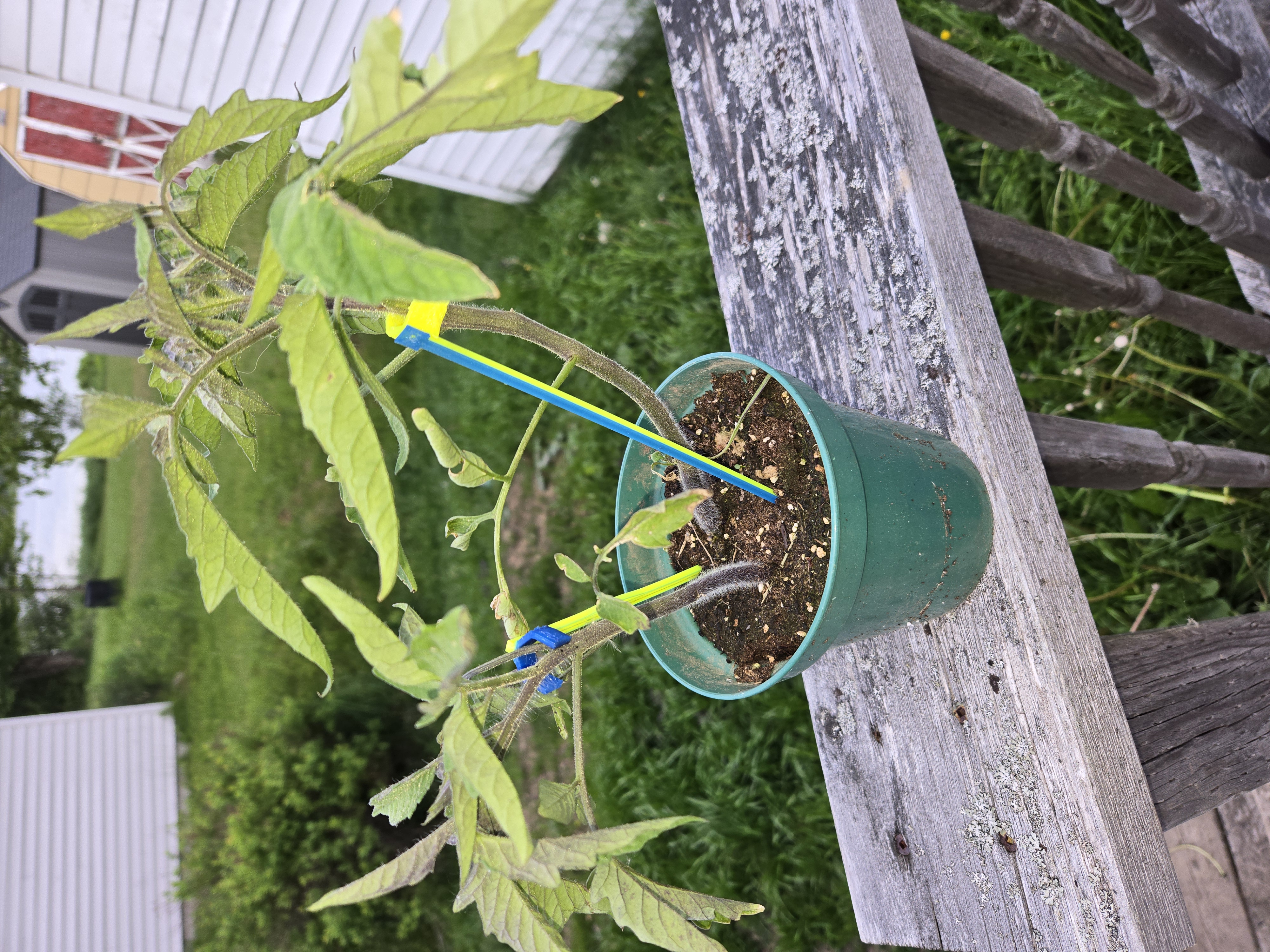 Plant Stake Kit- Easy 3D Printed Garden Stakes - photo 3