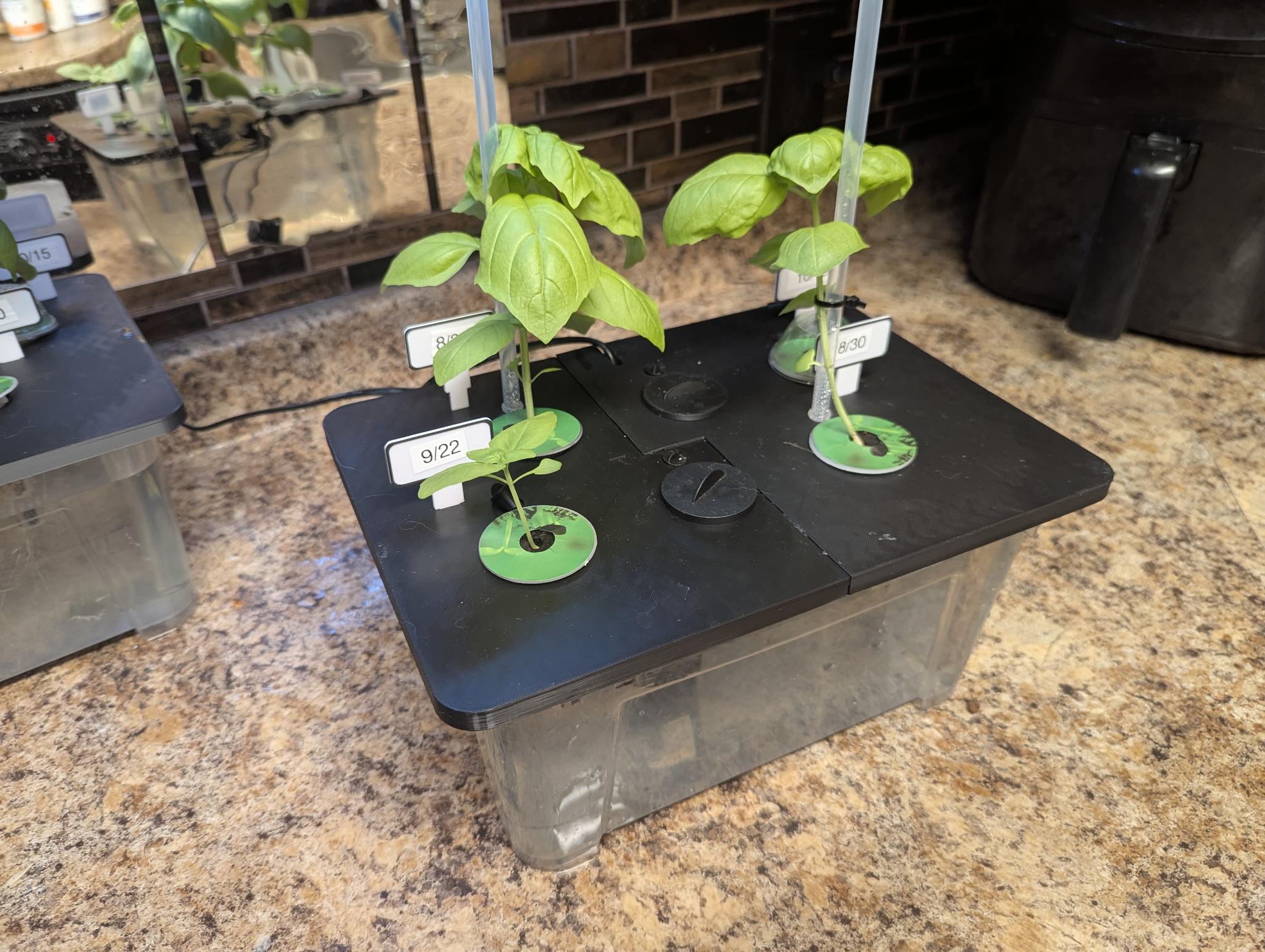 6 Pod Indoor Kitchen Herb Hydroponic Garden