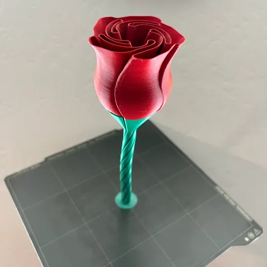 Complete Vase Rose Remix
