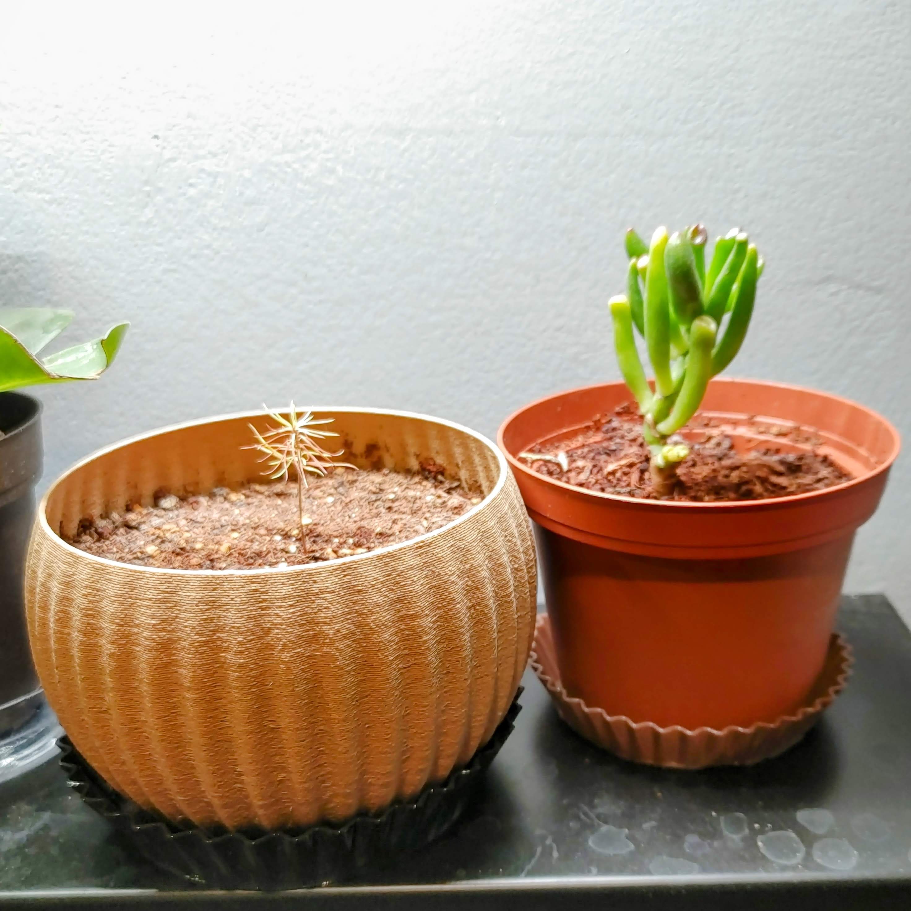 Reeses pot tray/coaster - photo 2
