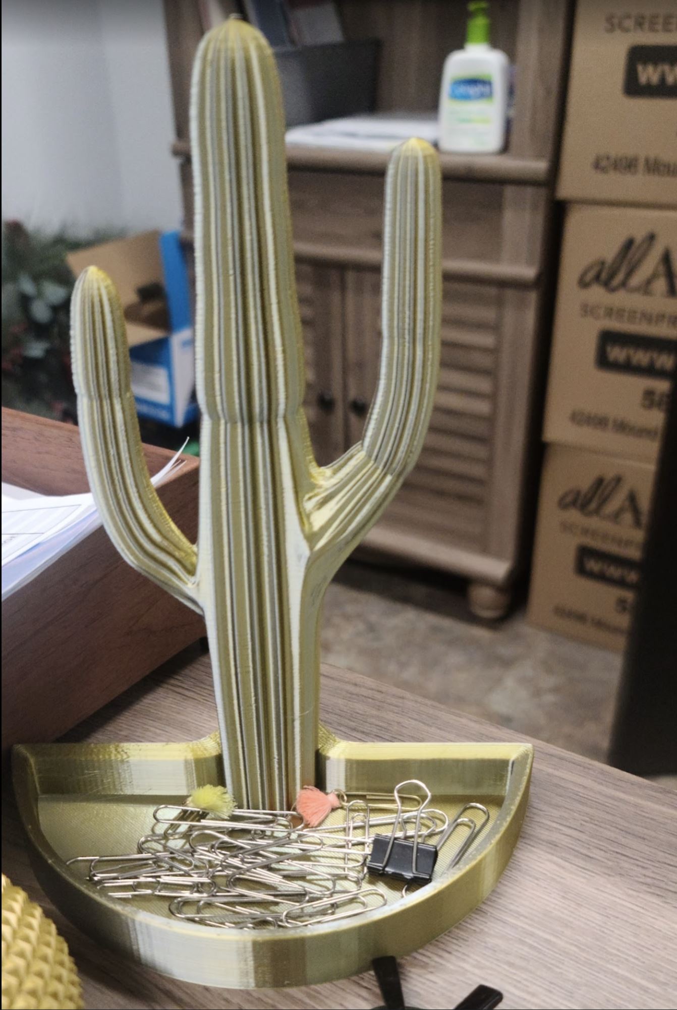 Saguaro Cactus with tray