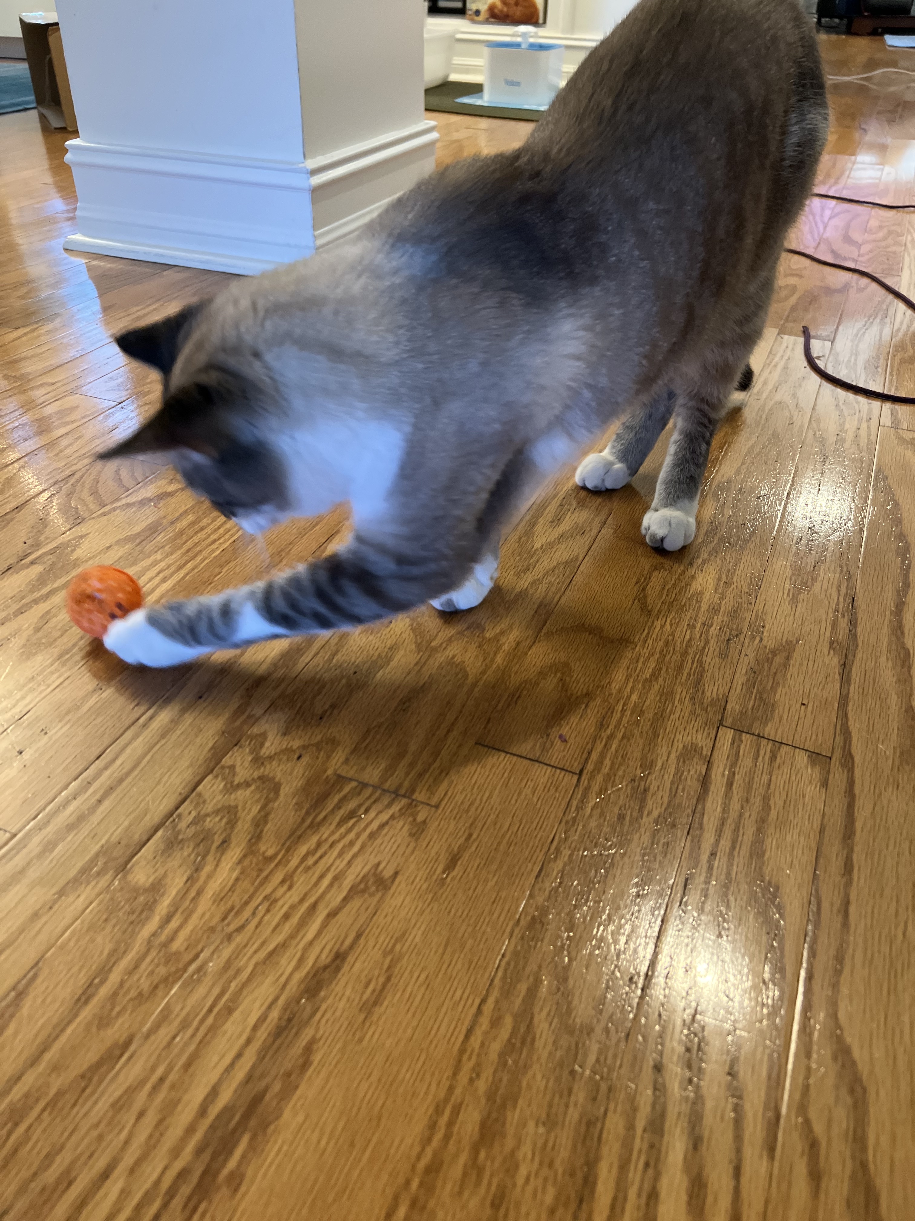 Snap-Together Cat Rattle Ball Play Toy - photo 2
