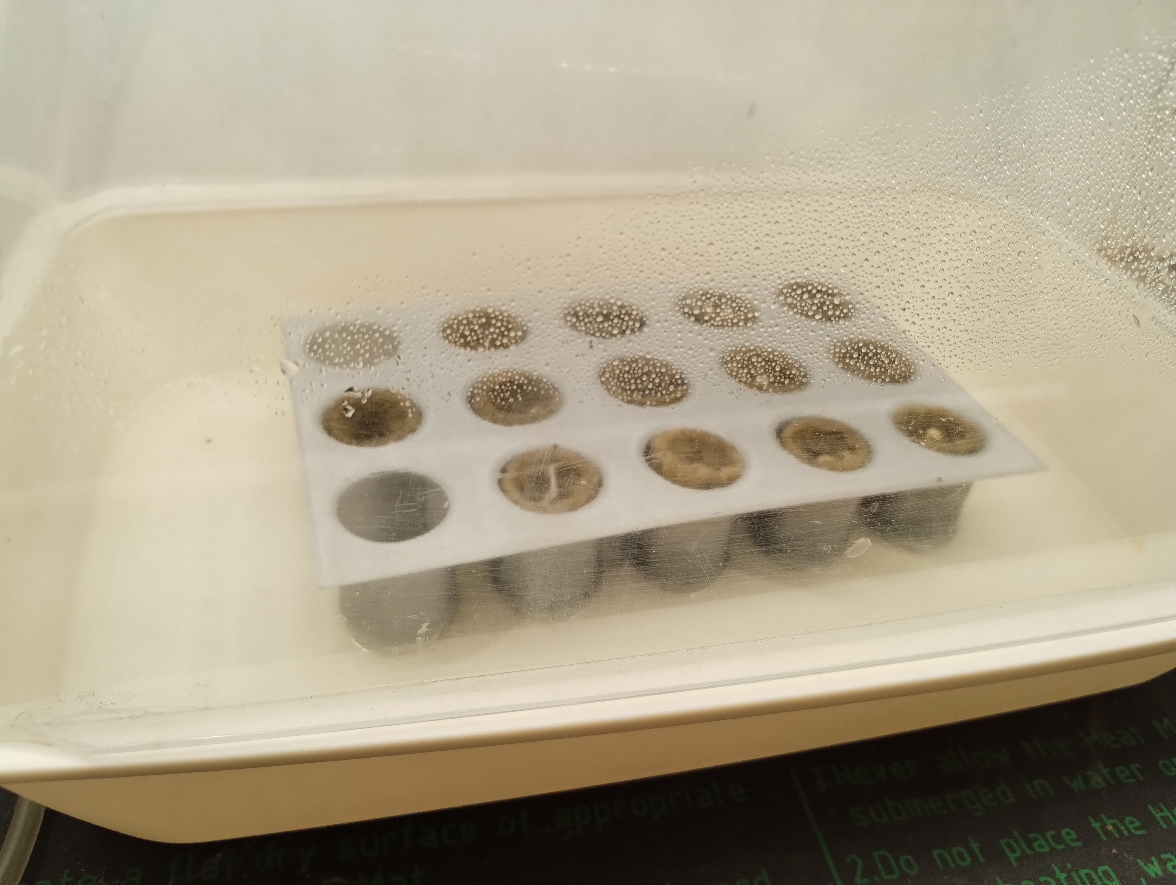 Seed tray for mineral wool plug, IKEA VAXER