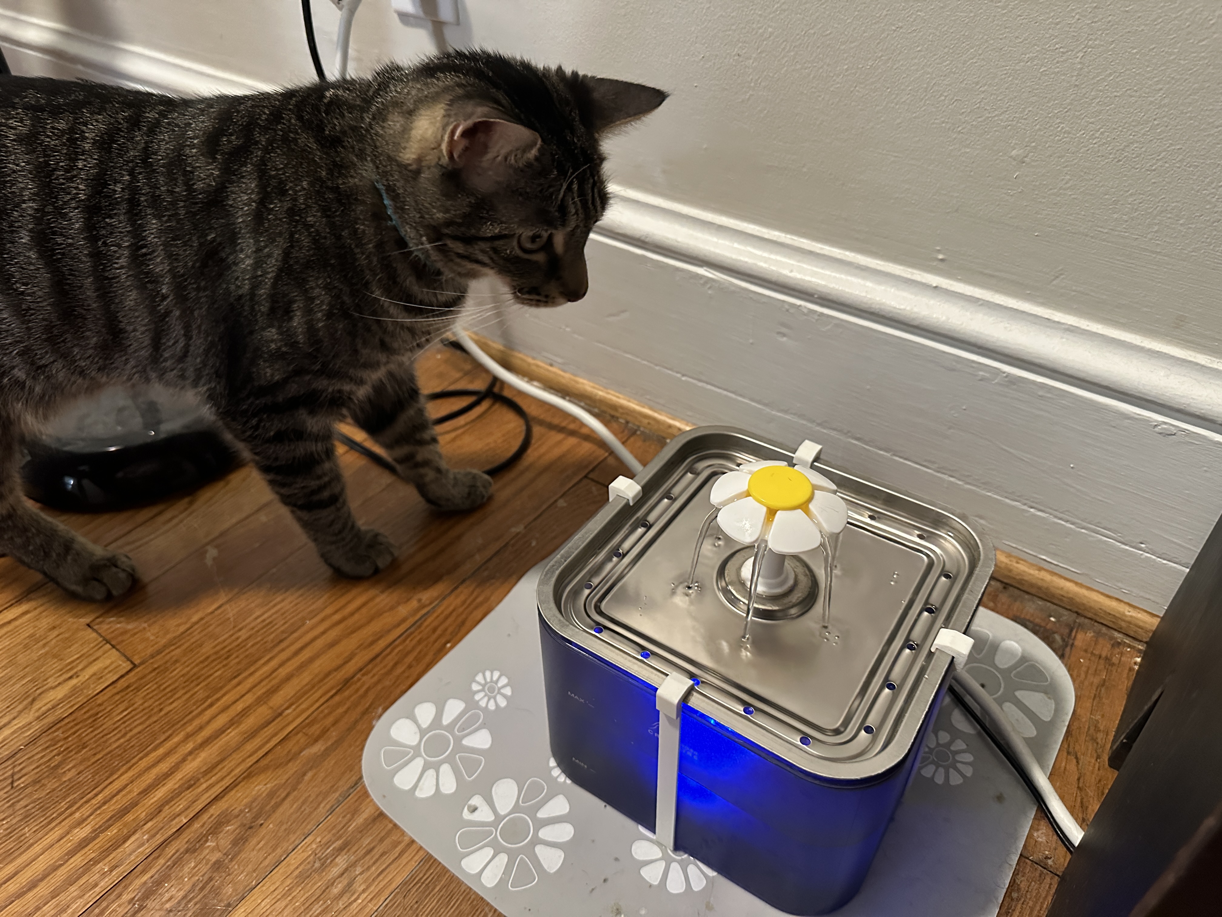 Cat water fountain clip - photo 4