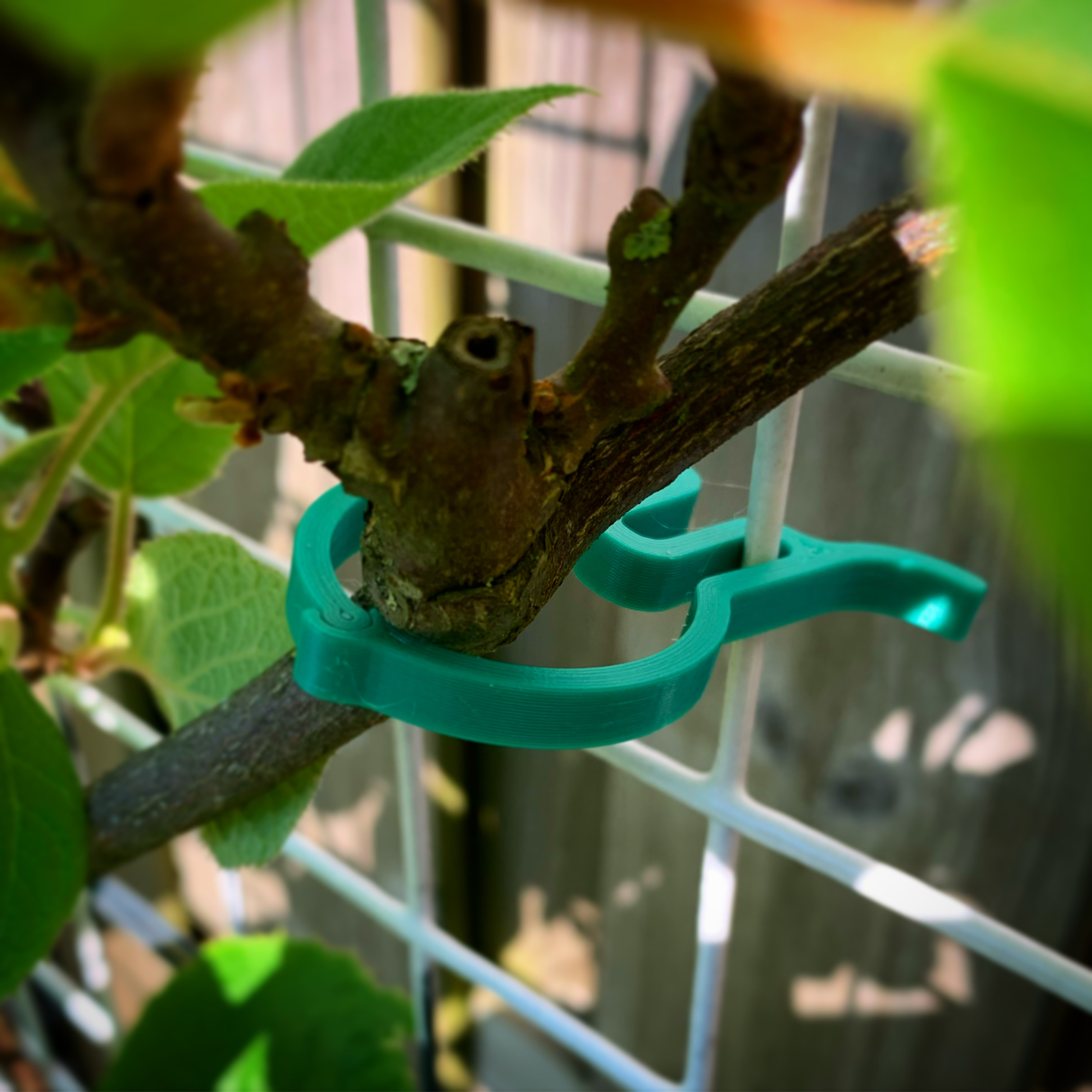 Plant clip remix - photo 3