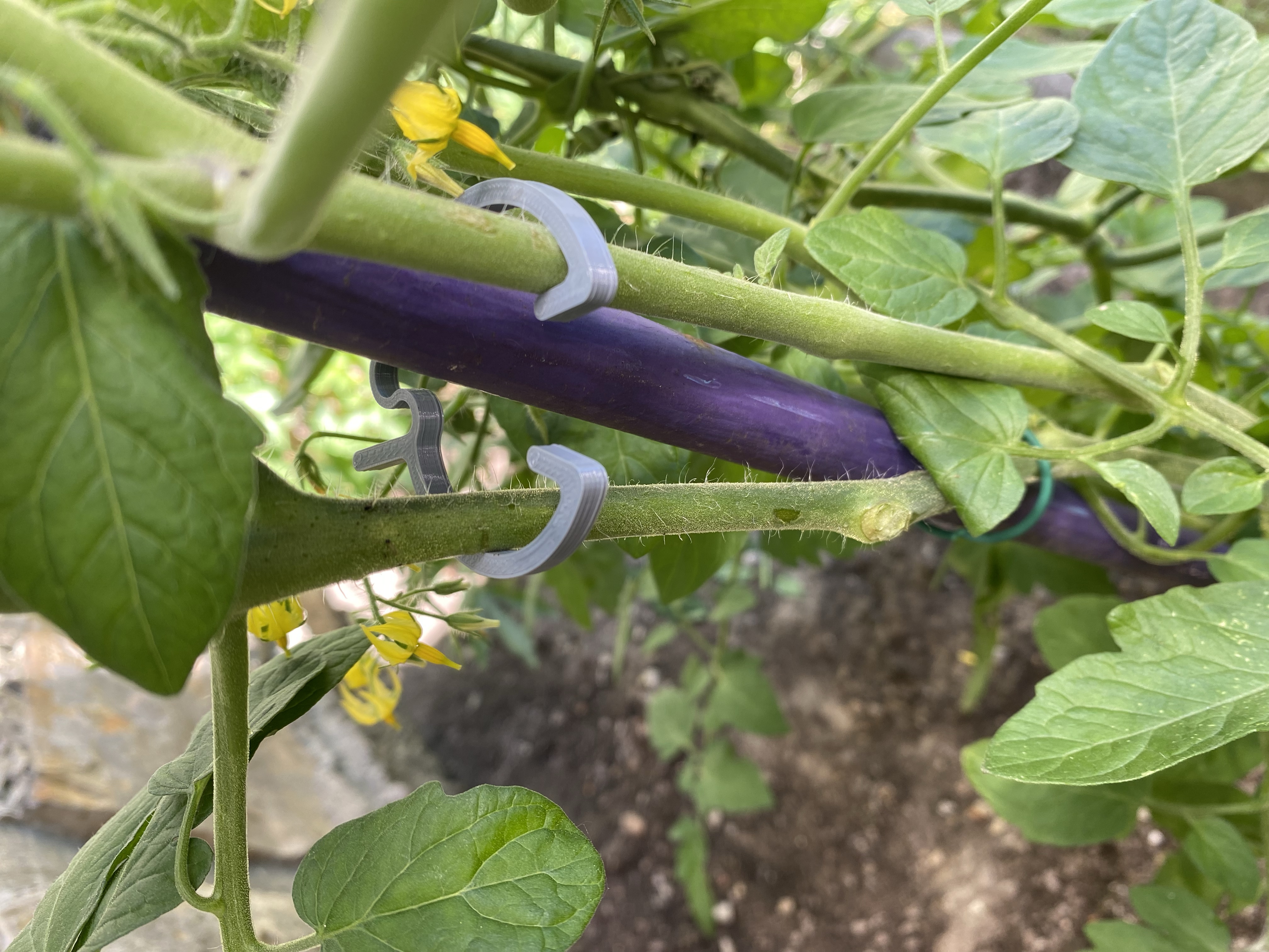 Plant Clip - photo 2