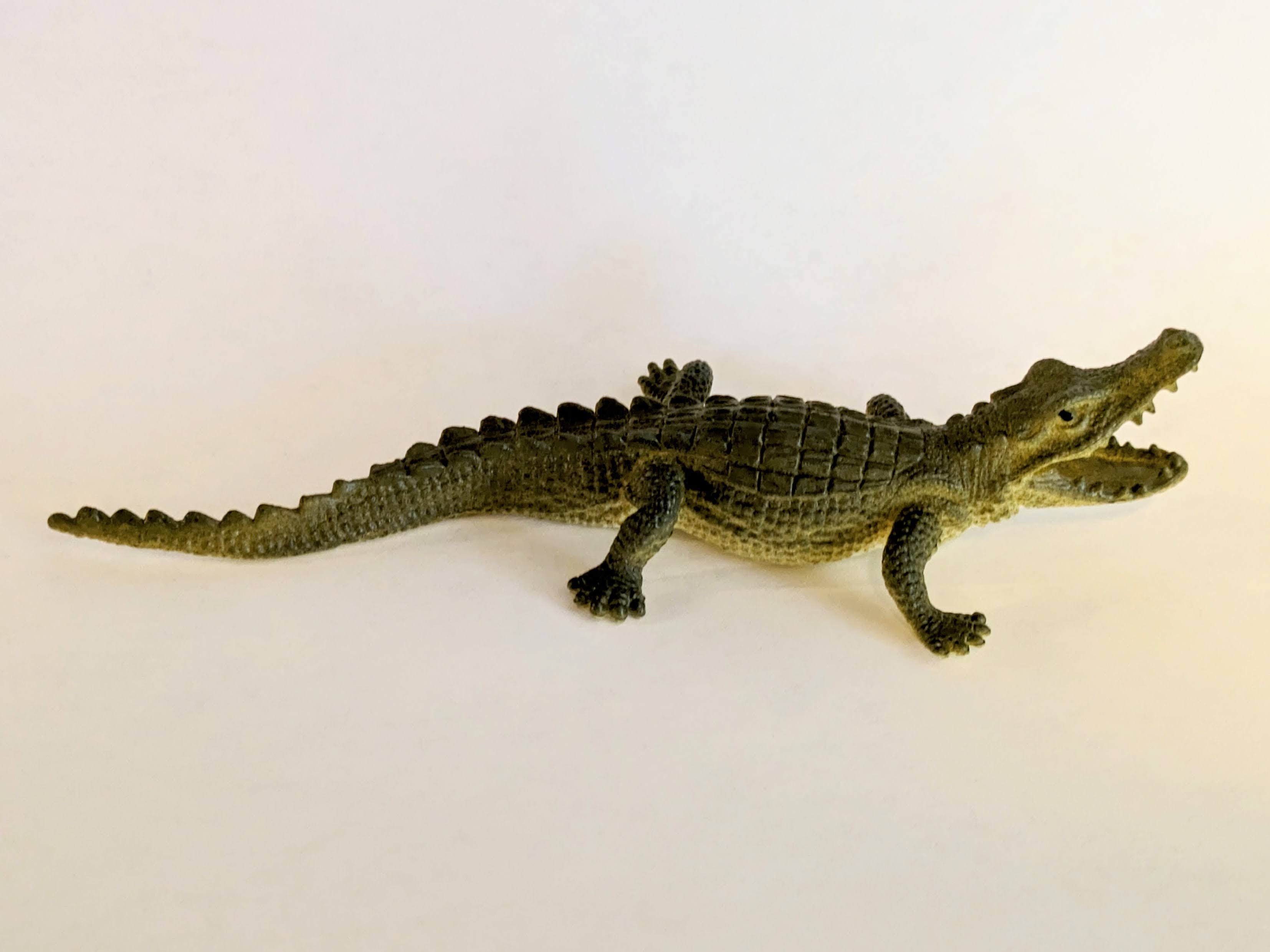 Alligator Toy 3D Scan