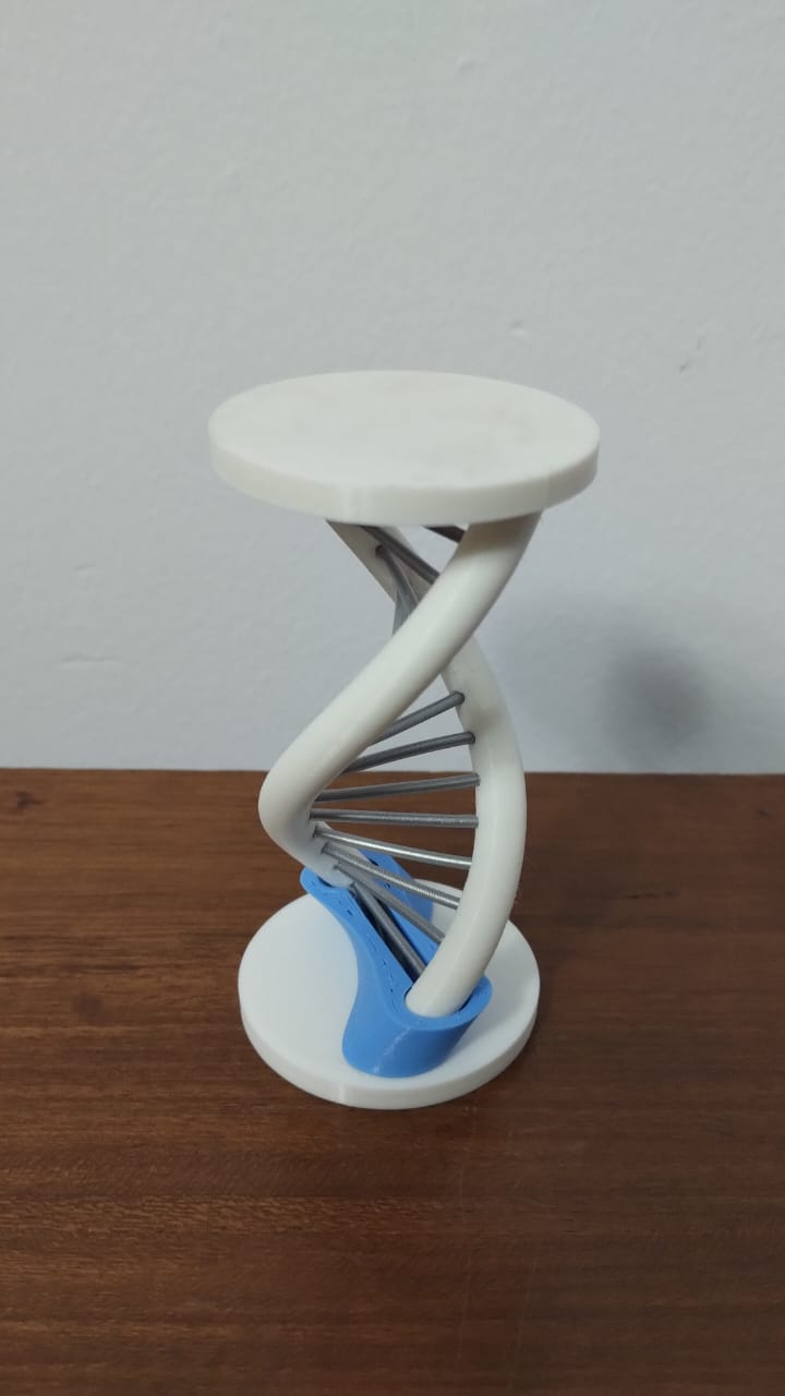 DNA Fidget Toy - photo 3