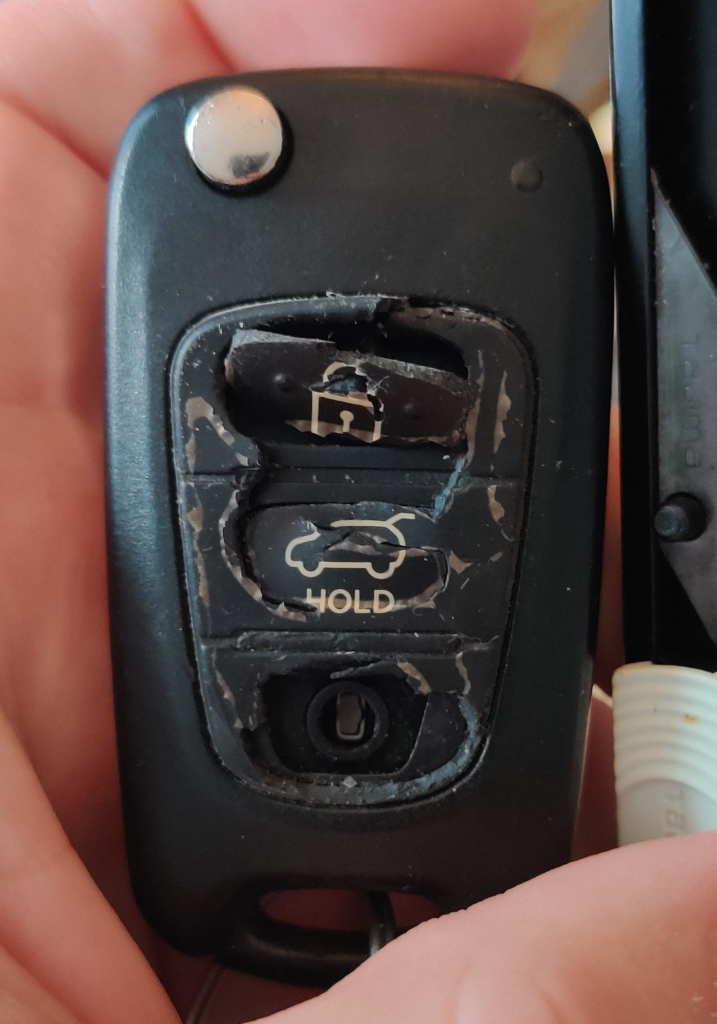 KIA car key remote replacement buttons (433-eu-tp) - photo 2