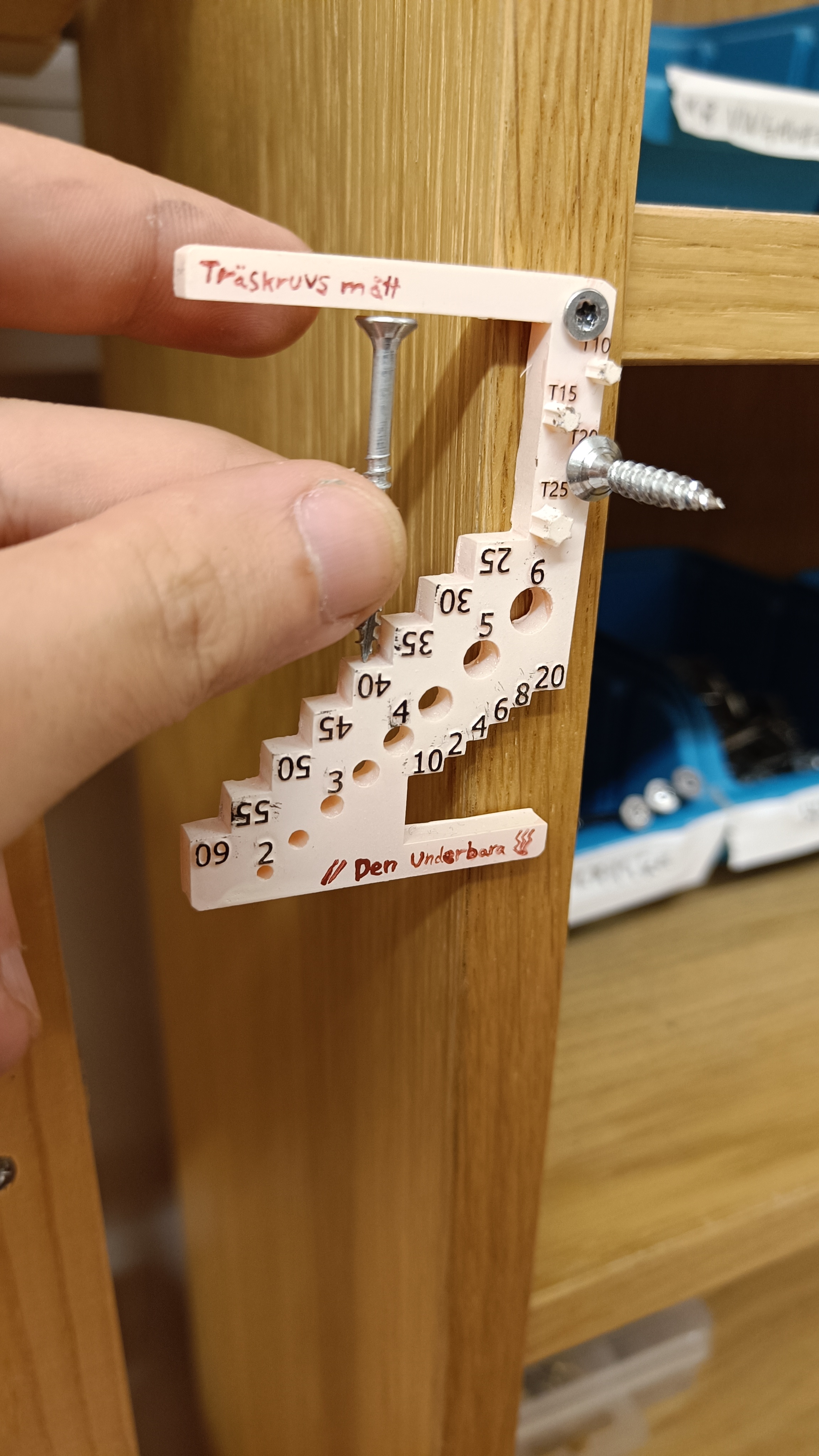 Torx (star) woodscrew sorting tool