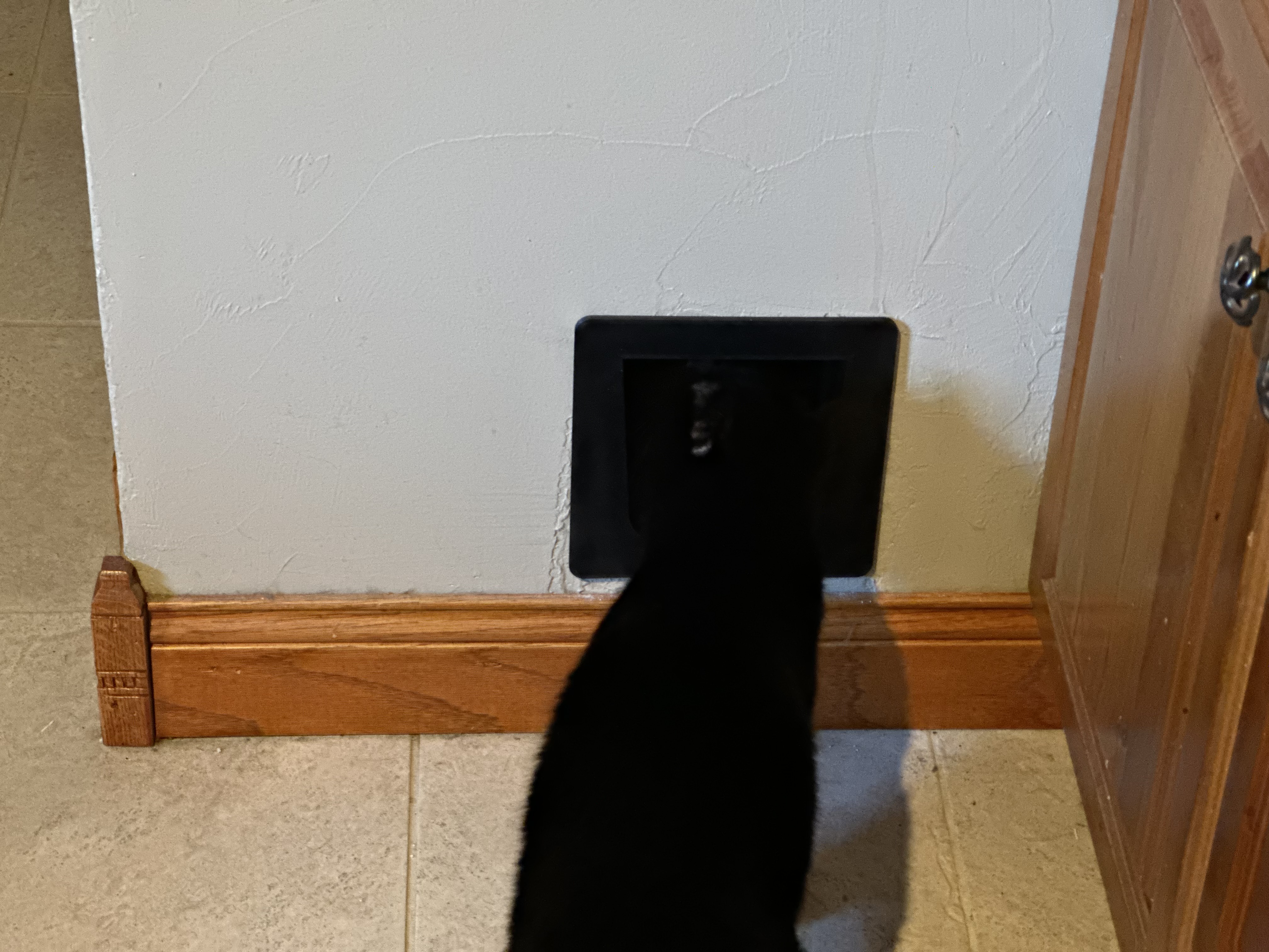 Cat / Small Pet Door - photo 2