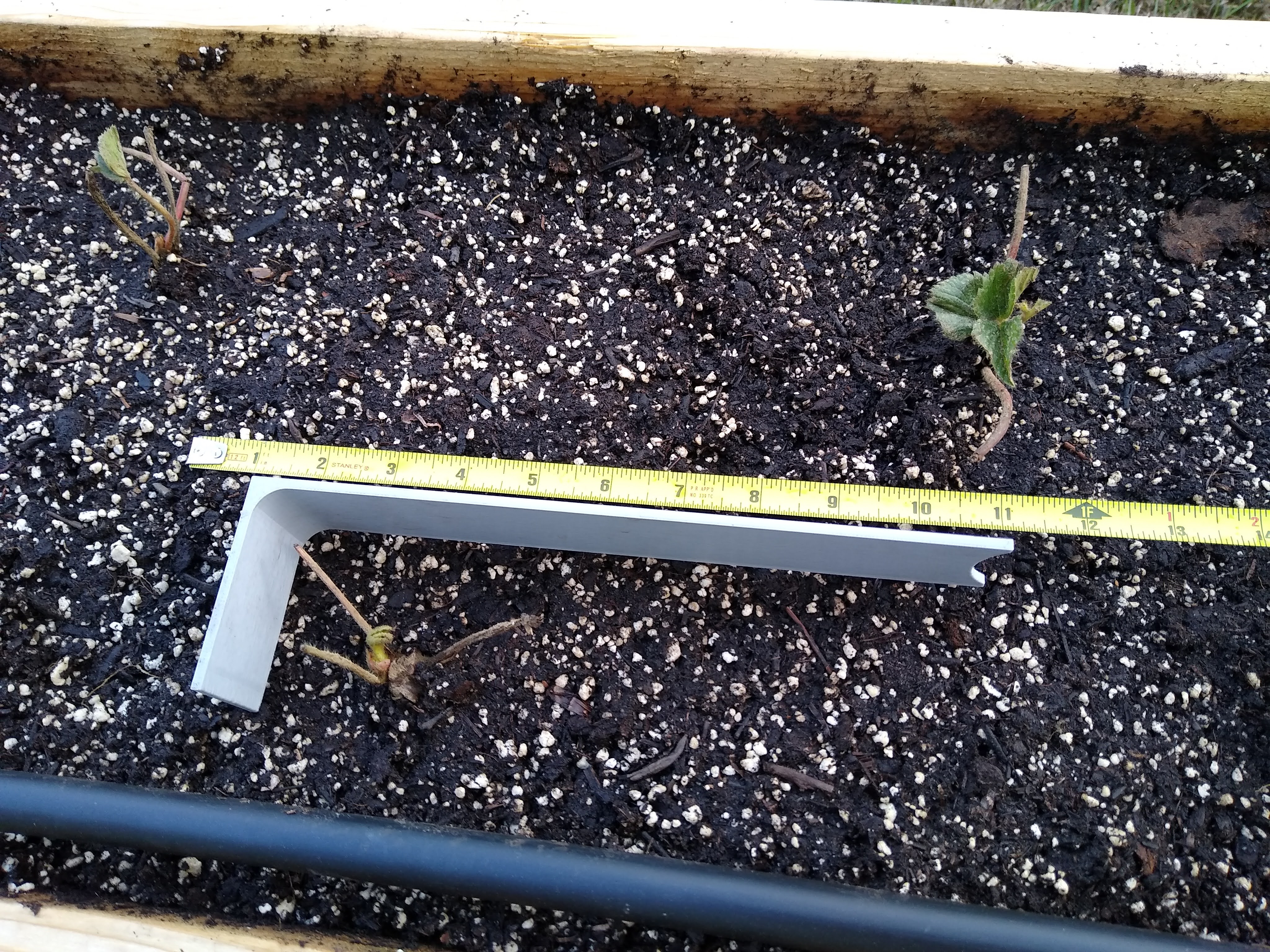 Strawberry Planting Tool