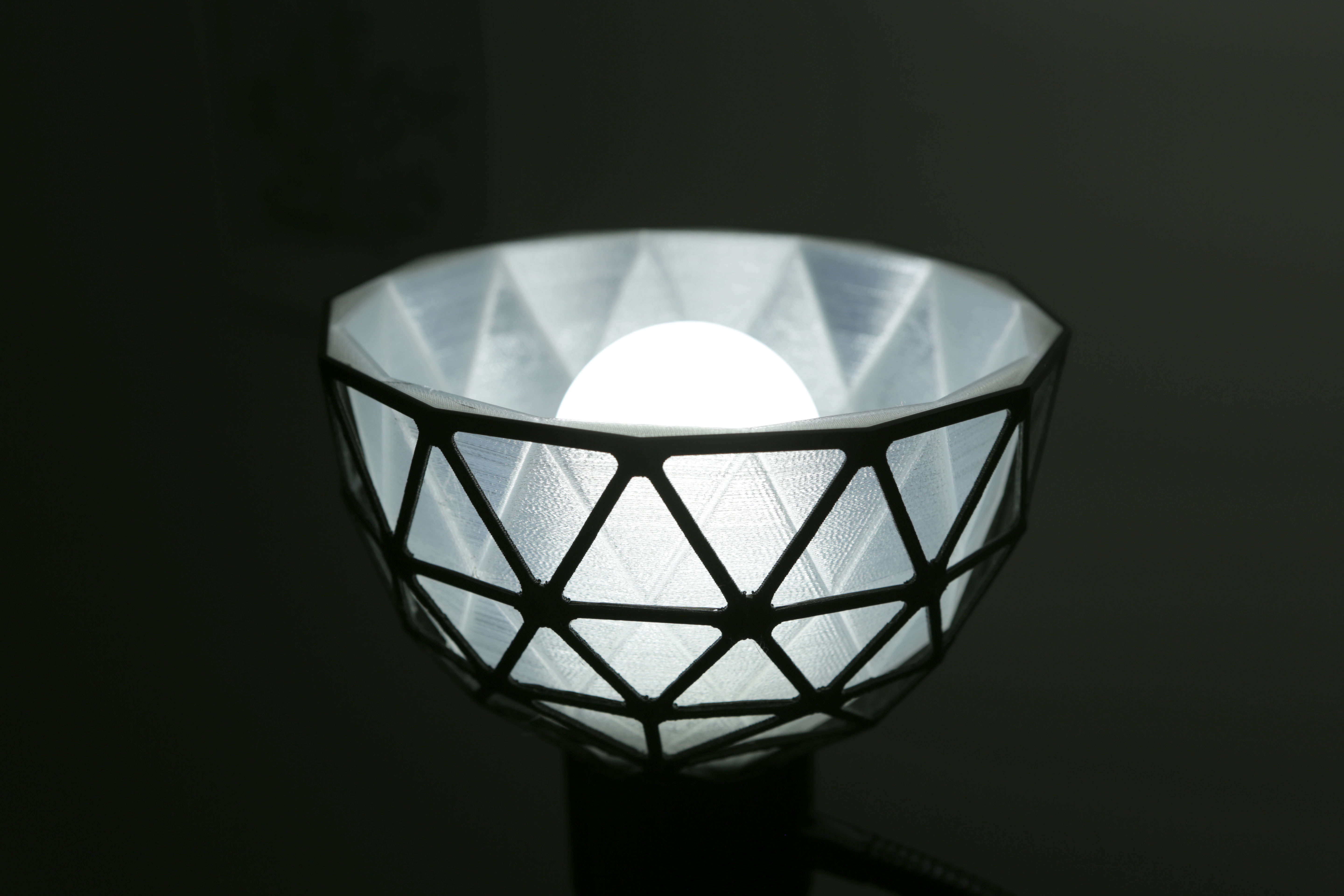Geodesic Lamp Shade - photo 4