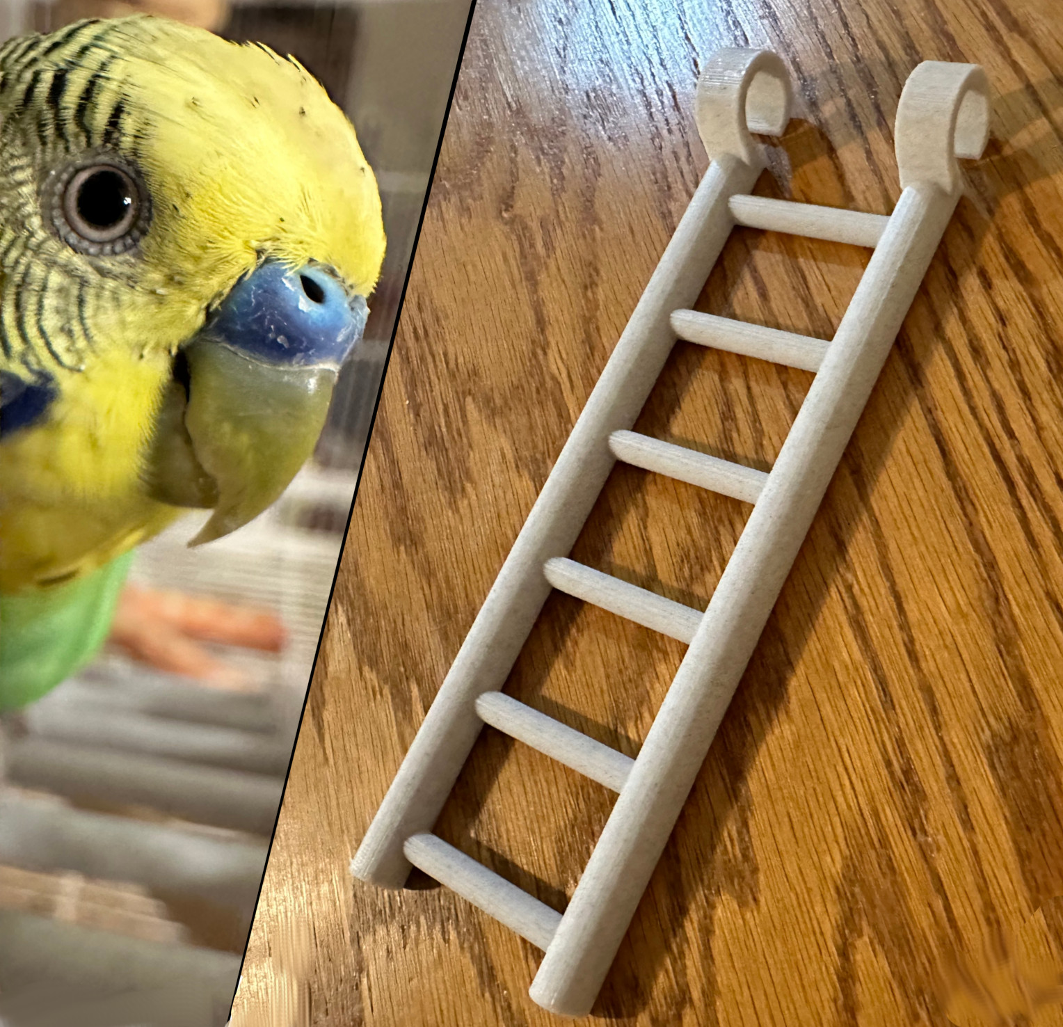 Parakeet Bird Toy Ladder