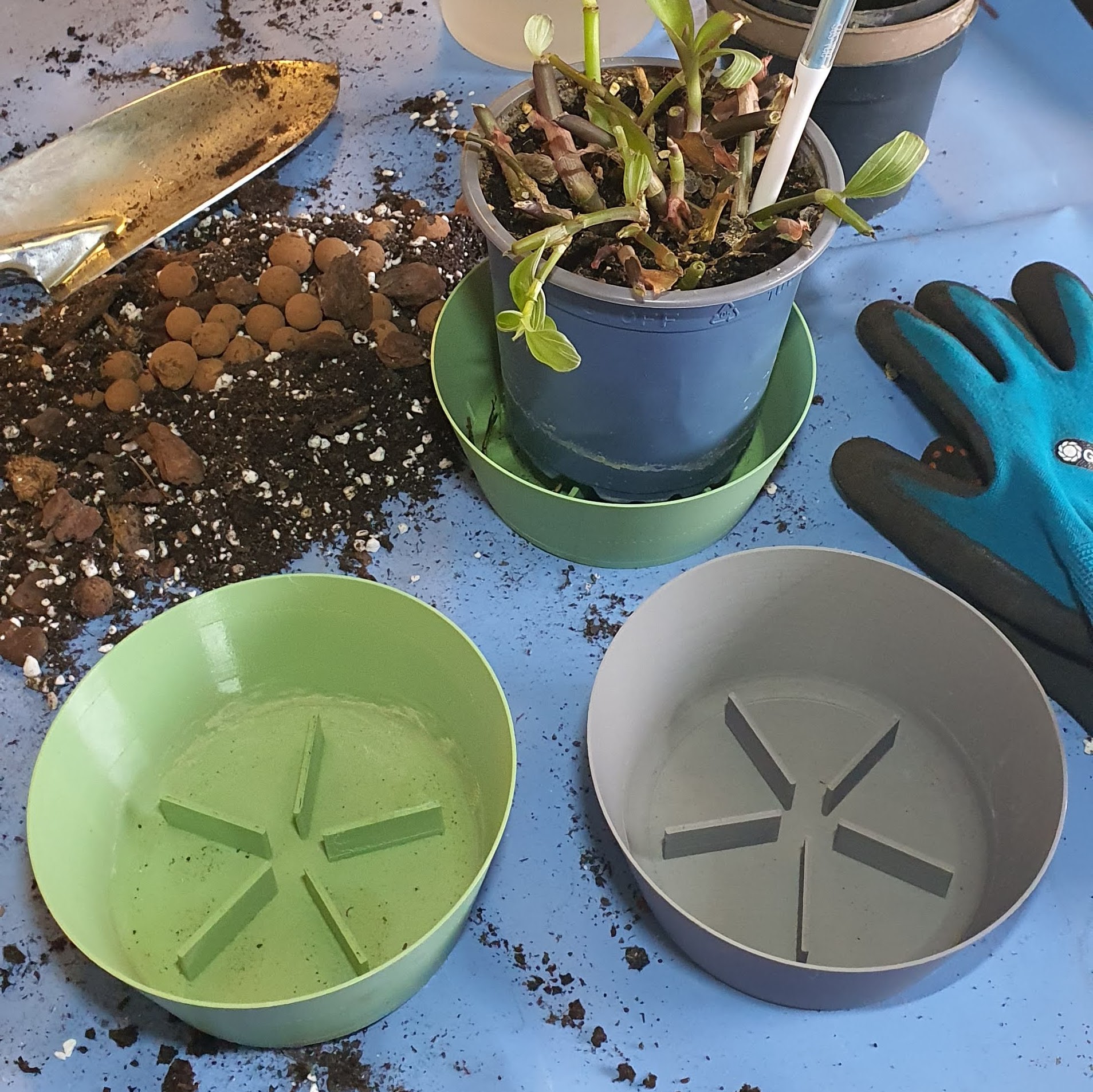 Plant Parking / Tray - photo 2