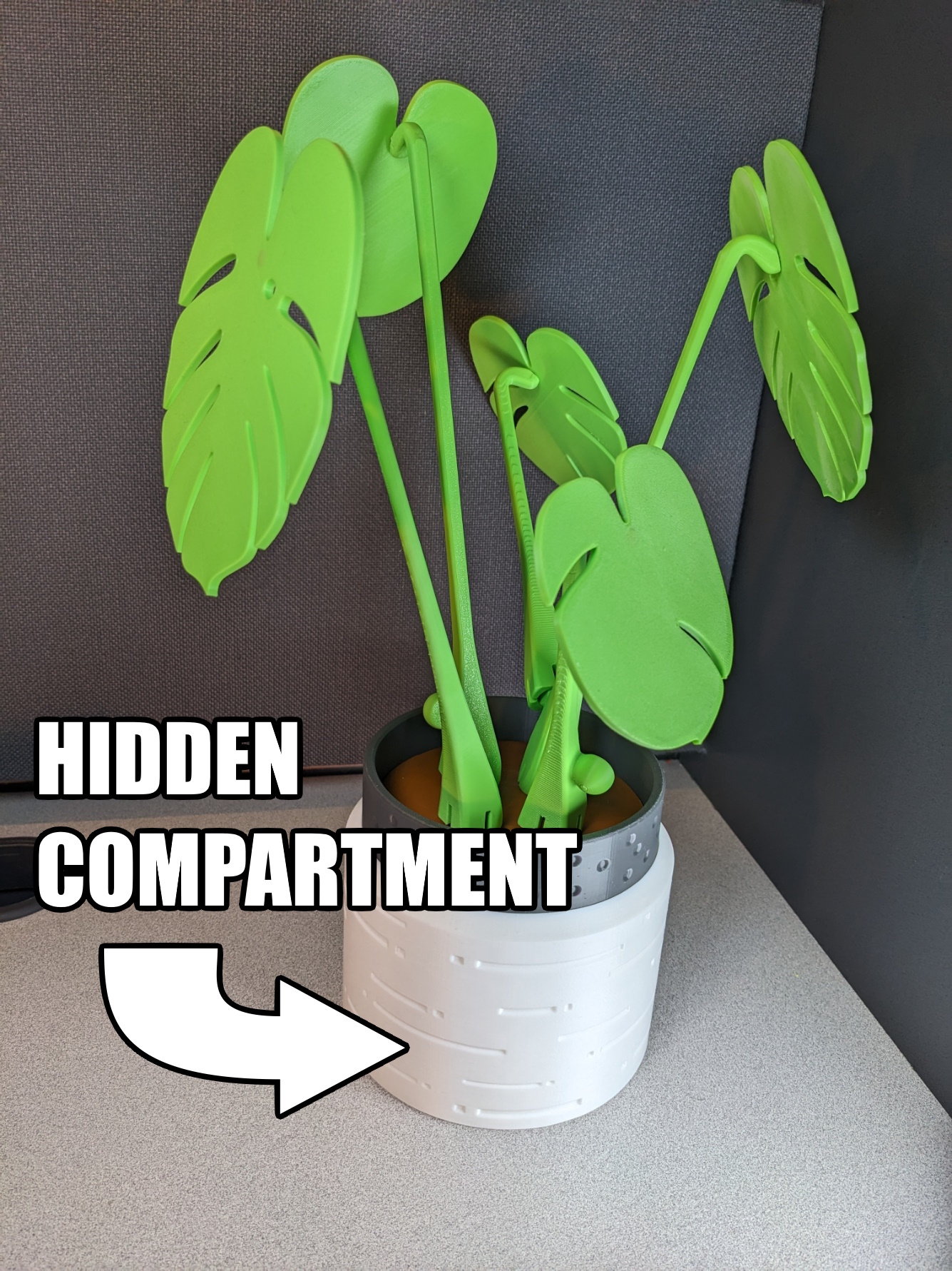 Planter Vase Pot for ForgeCore Monstera Coaster Plant - photo 2