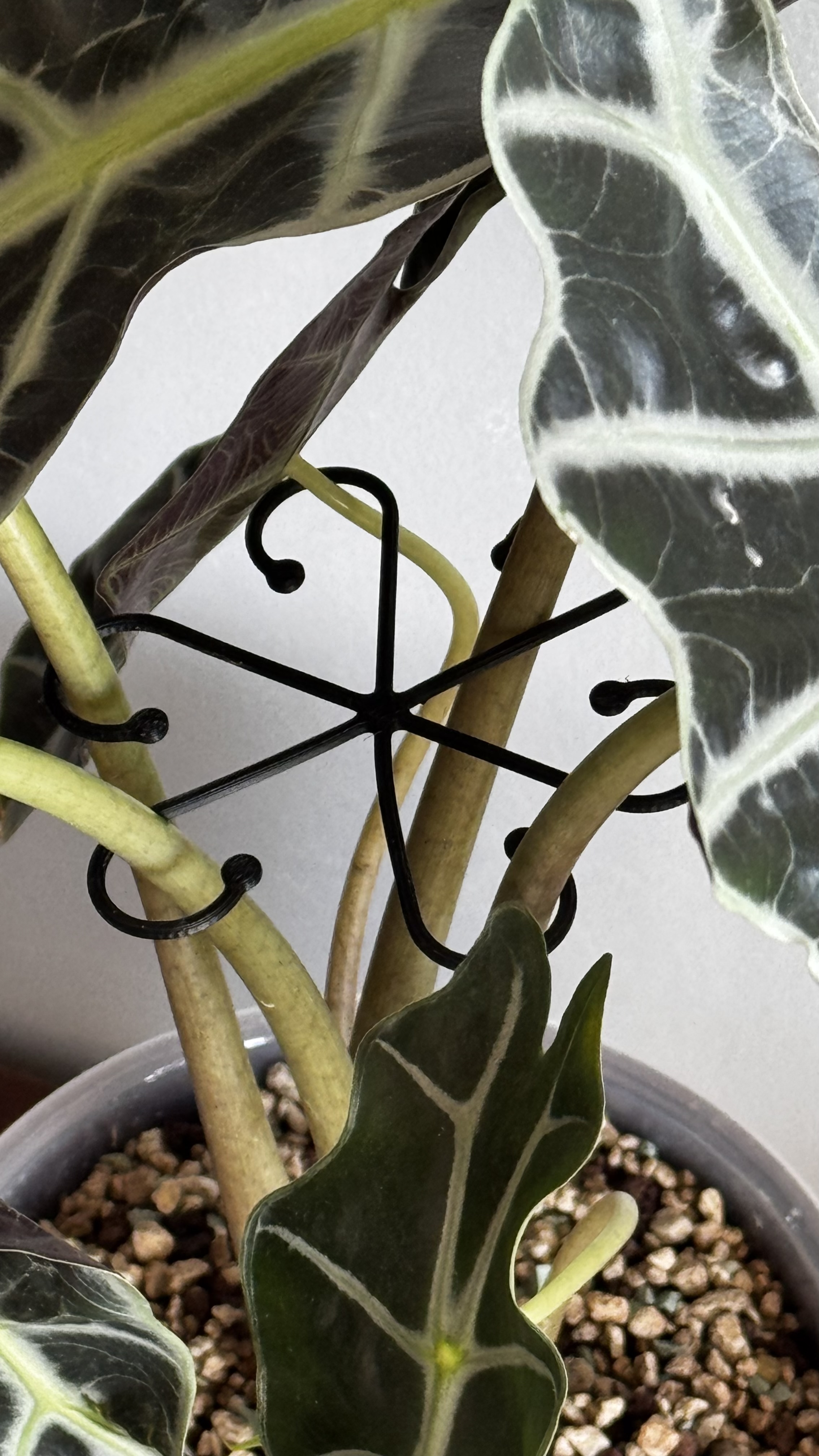 Octopus Plant Clip
