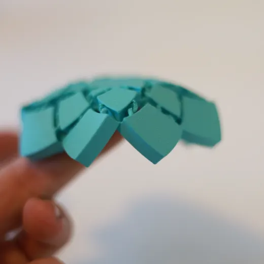 ARTICULATING FLOWER COASTER! - photo 3