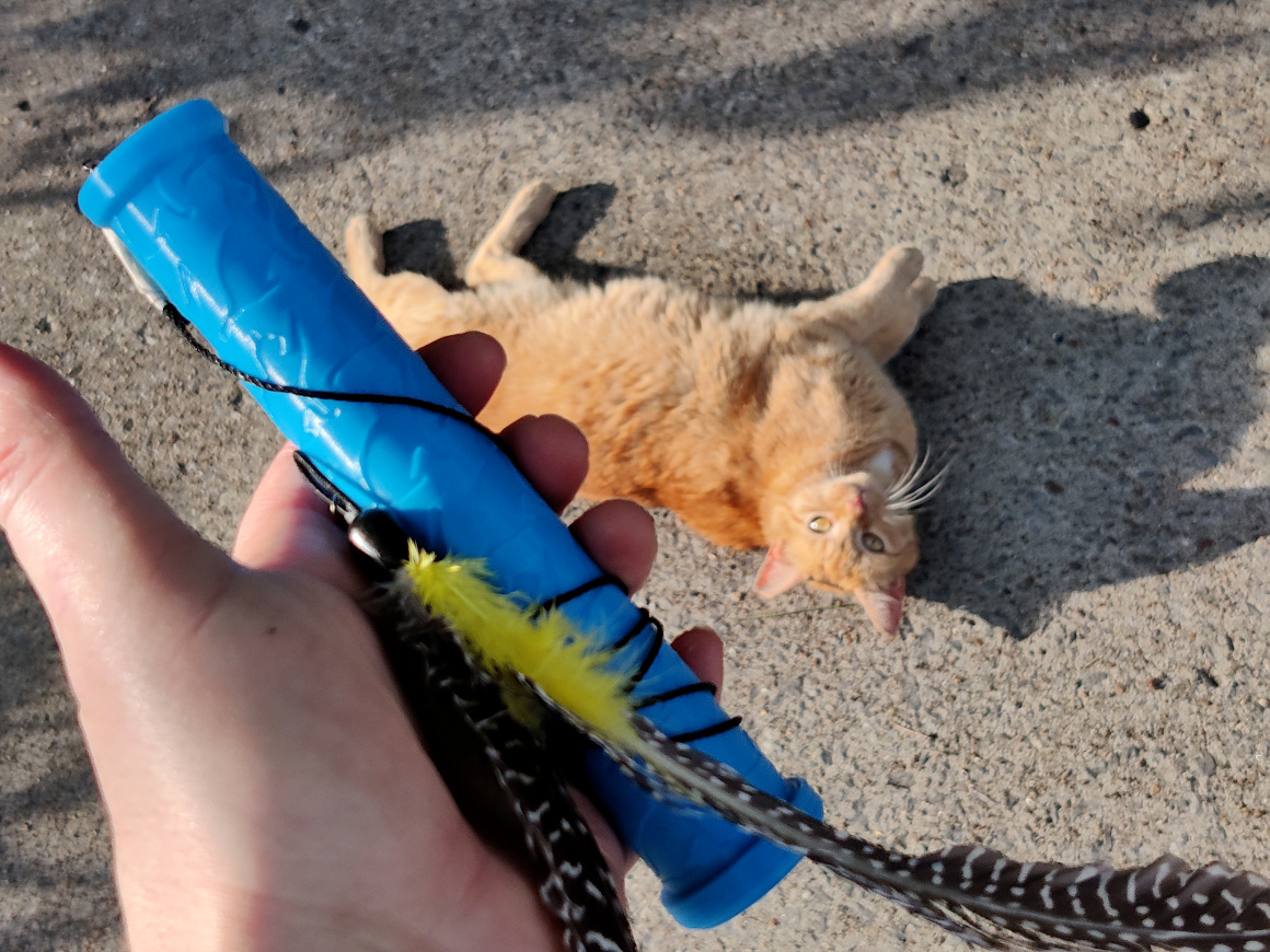 Telescoping Cat Saber - Retractable Cat Wand Toy! - photo 3