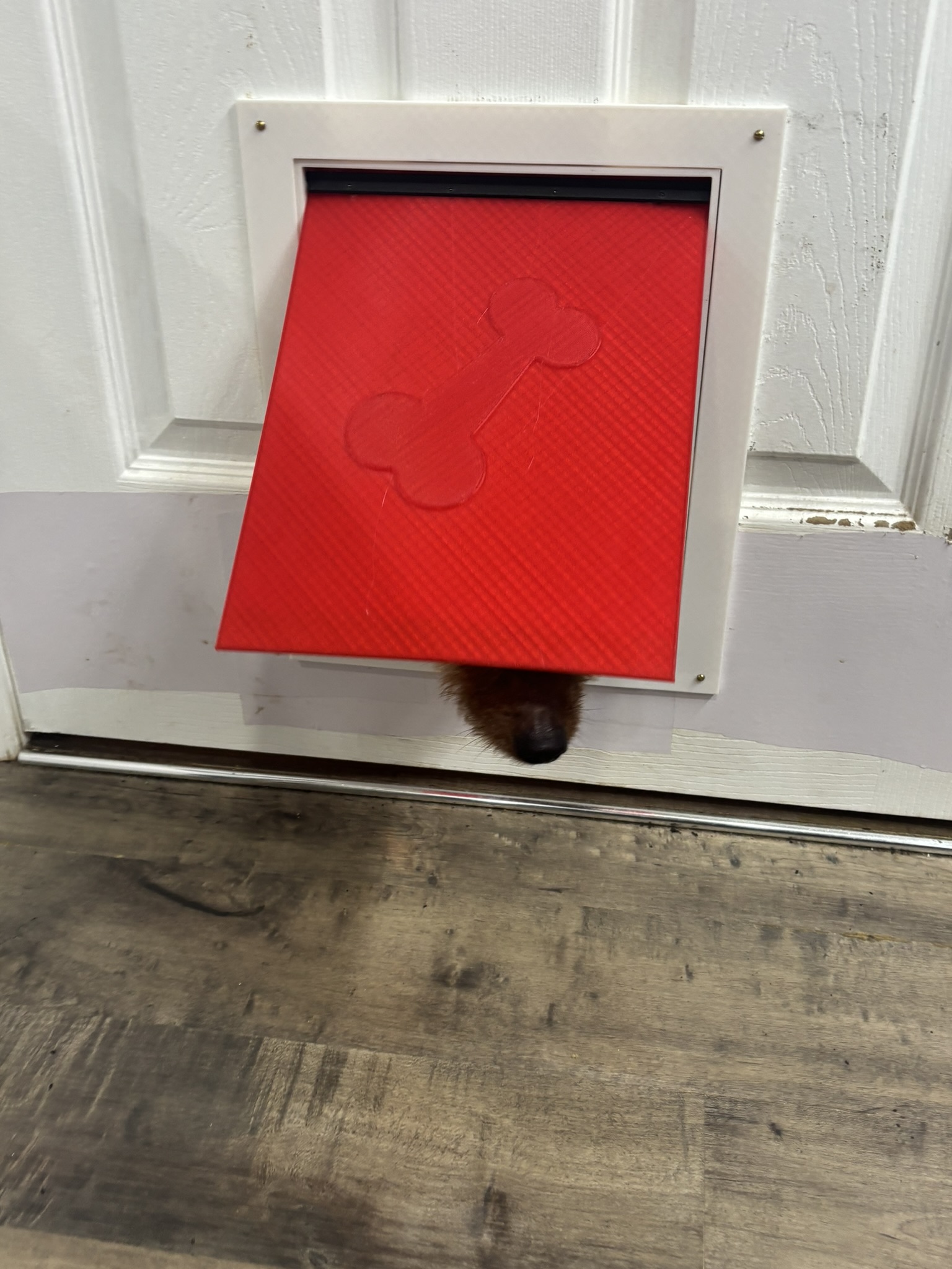 Dog Pet Door for XL printer peoples - photo 3