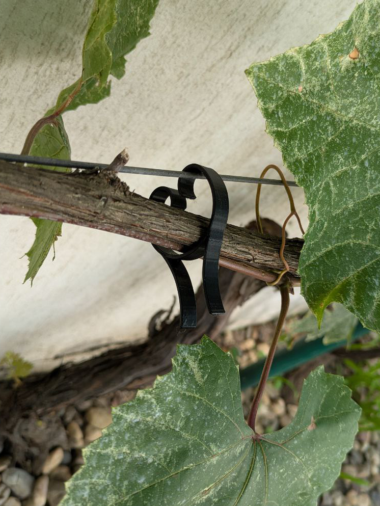 Plant clip - photo 4